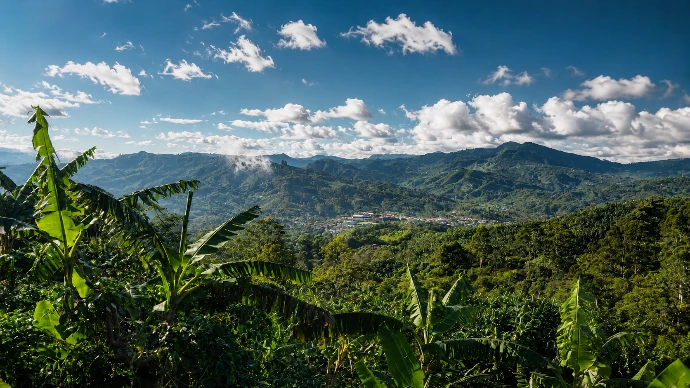 Vista sobre San Lorenzo desde la finca