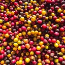 washed-3.webp